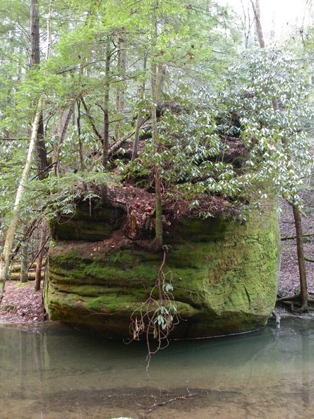 Chimney Top Creek - Koomer Ridge Trail - 2.jpg